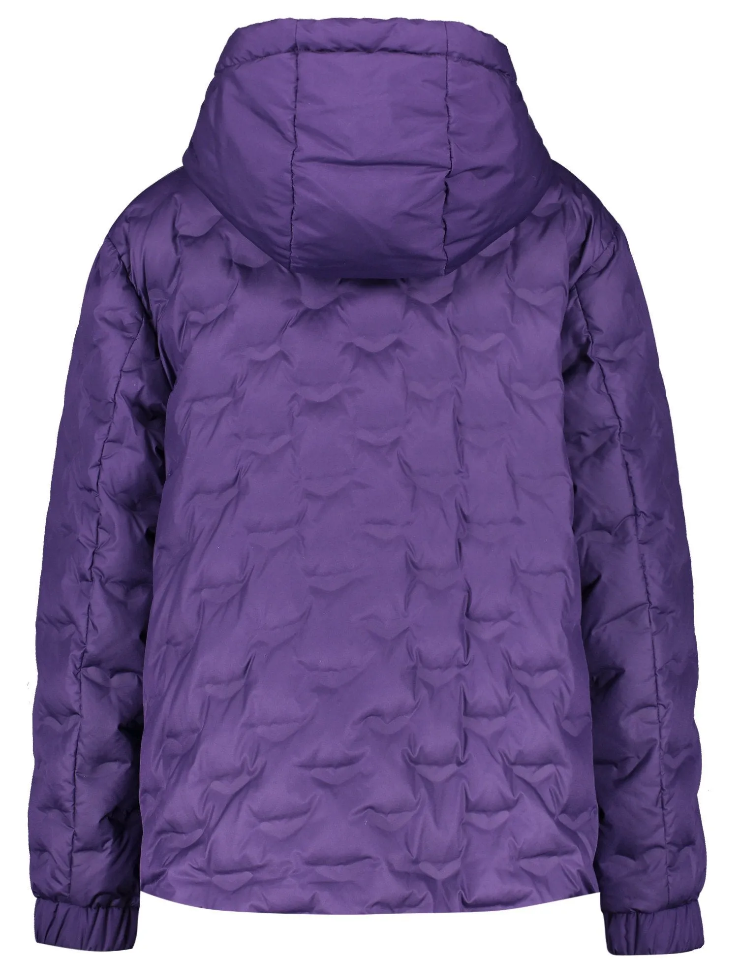 Outdoor Jacket with a Quilted Pattern